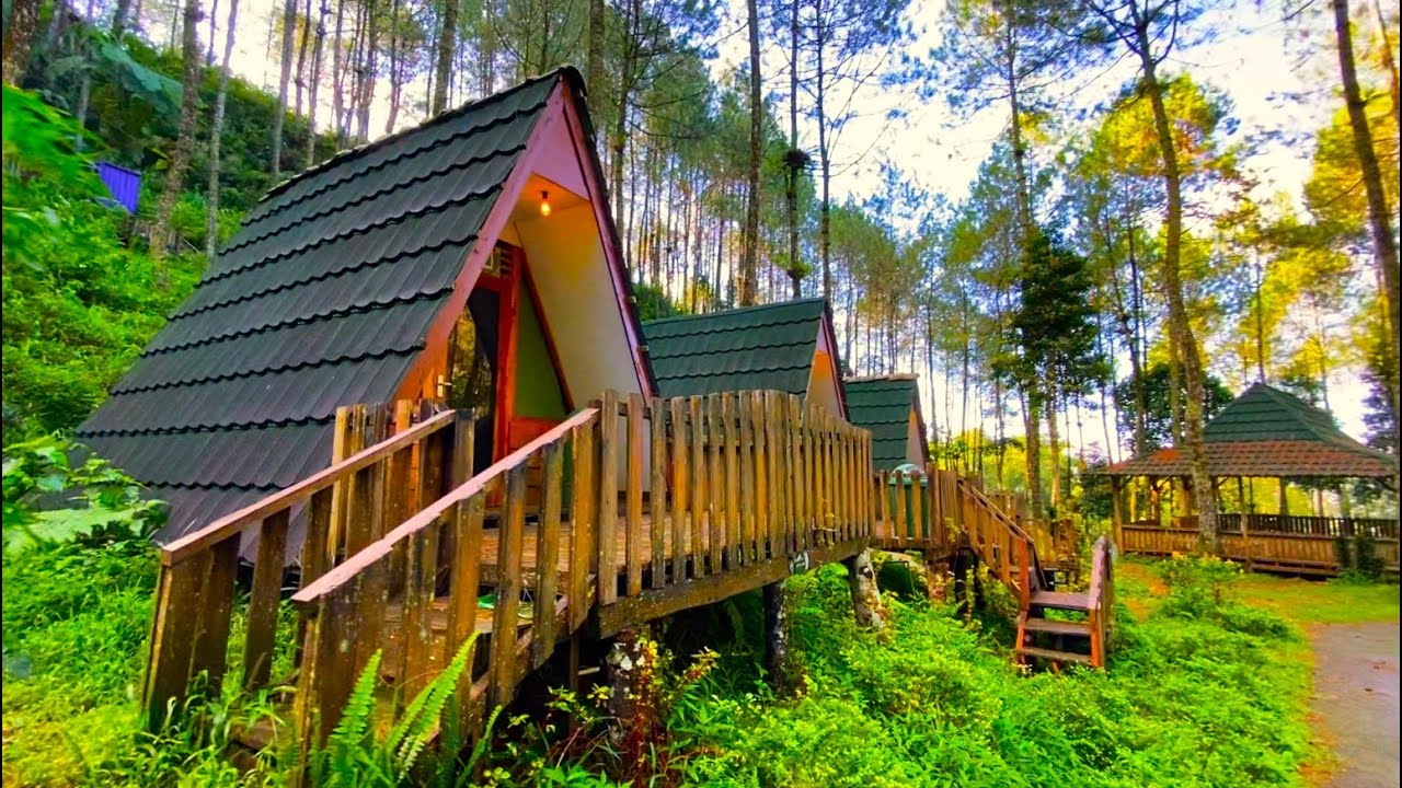 Telomoyo Nature Park: Petualangan Menakjubkan di Puncak Gunung